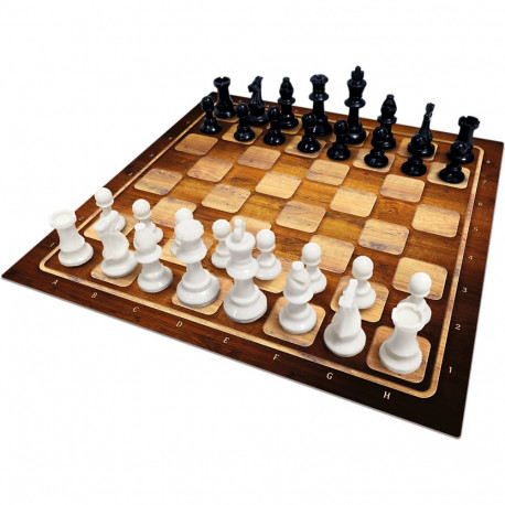 Gra klasyczna Szachy plastikowe Trefl 02893