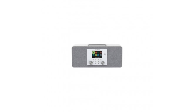 "Grundig DTR 6100 wei"