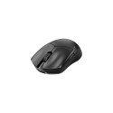 be quiet! Dark Perk | Sym mouse Gaming Right-hand RF Wireless + USB Type-C Optical 32000 DPI