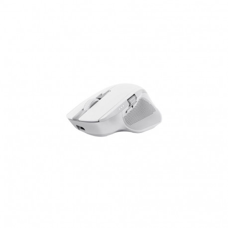 Trust Ozaa+ mouse Office Right-hand RF Wireless + Bluetooth Optical 3200 DPI