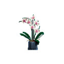 LEGO Botanical Collection Orhidee