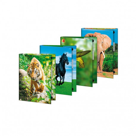 Mapp-kaaned Brunnen A4, loomamotiividega, assortii