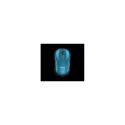 Logitech mouse M185 Notebook, blue
