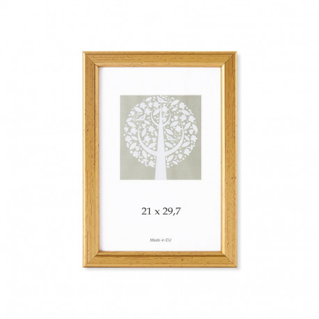 Pildiraam SAVEX 21x29,7cm, plast, kuld