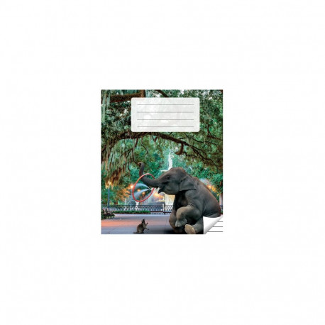 Kaustik 36 lehte, jooneline (5 tk)