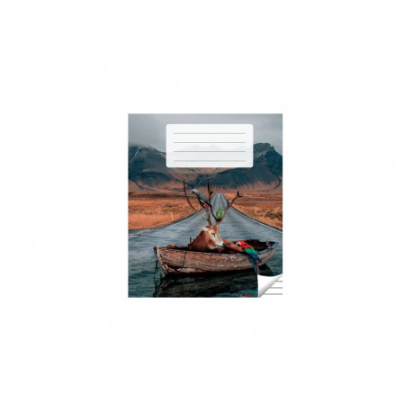 Kaustik 36 lehte, jooneline (5 tk)