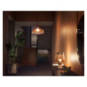 Philips Hue W 1100 A60 1P EU | E27 | 9.5 W | Soft white light | Bluetooth and Zigbee