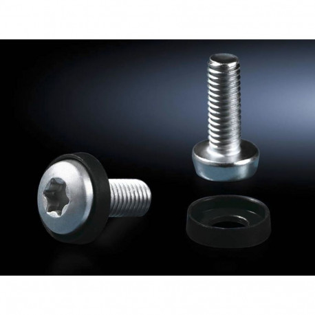 Rittal Torx-kruvid 30 M6 L16mm 50 tk