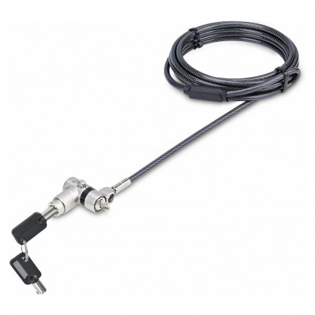 "StarTech 25-PACK UNIVERSAL LAPTOP LOCK"