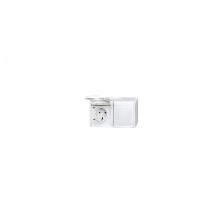 Busch Jaeger BJ 20/2EW-54 horisontaalne 2-osaline klapiga pistikupesa ocean IP44 alpivalge