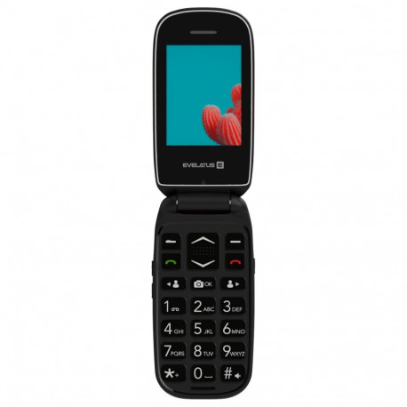 Evelatus WAVE 2020 DS EW02RD Maroon Red