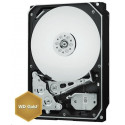 Western Digital Gold 3.5" 18TB kõvaketas