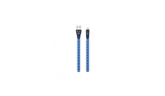 2GO 795536 lightning cable 1 m Blue