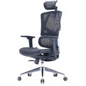 Sihoo office chair M90C, black