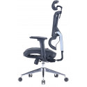 Sihoo office chair M90C, black