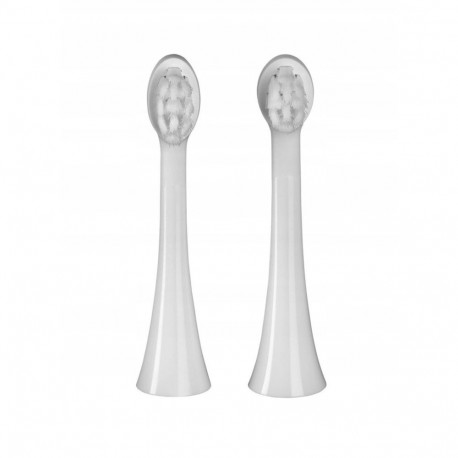 Electric Toothbrush - CONCEPT ZK6010 Sonic, 3 modes, waterproof, rechargeable, Pink