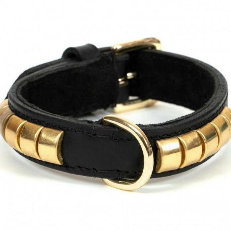 Koera kaelarihm Gloria Duna Must Kuldne (35 x 2 cm)