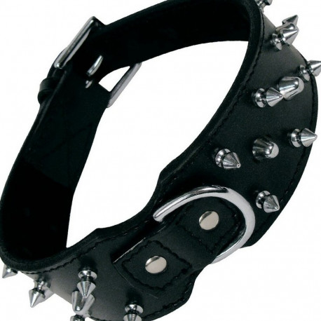 Koera kaelarihm Gloria Must (60 cm)