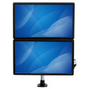 Lauatugi Ekraanile Startech ARMDUAL30