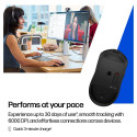 "HP 700 Rechargeable Wireless Mouse (P)"