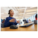 "HP 700 Rechargeable Wireless Mouse (P)"