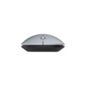 "Wortmann TERRA Mouse NBM1000S wireless BT silber"