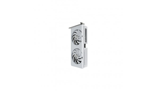 "RTX 5060 8GB Palit OC GDDR7 white"