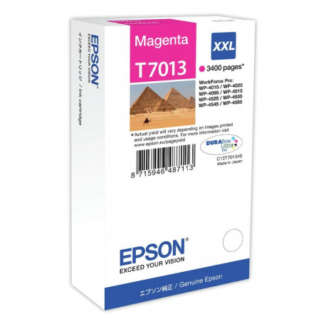 "Epson C13T70134010 magenta EHC"