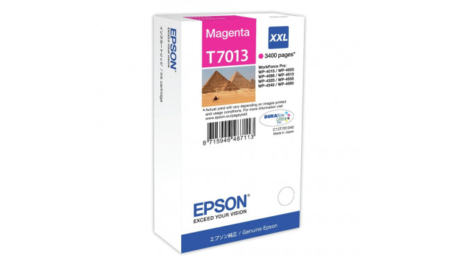 Epson C13T70134010 magenta EHC