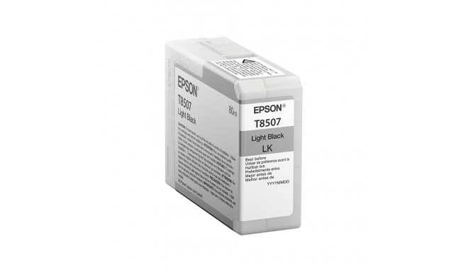 "Epson C13T850700 light black"