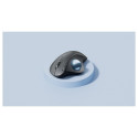 "Logitech ERGO M575 for Business Wireless Trackball Graphit"