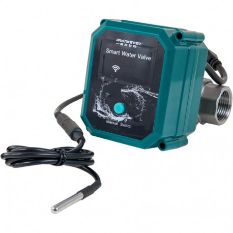 FrankEver nutikas veeventiil DN25 1", roheline