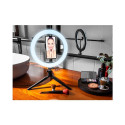 Tracer 46747 LED Ring Lamp 26cm