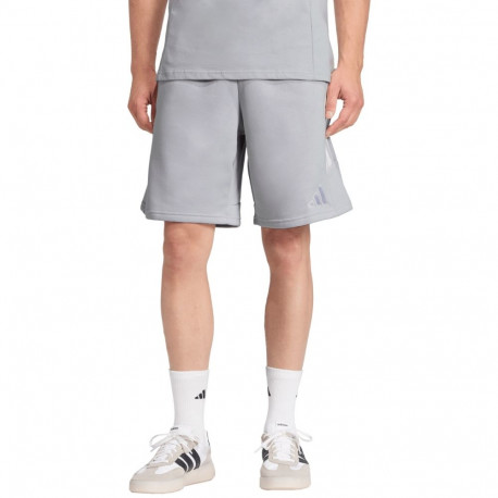 Adidas meeste lühikesed püksid Tiro 26 League Sweat JY9669 XL, hall