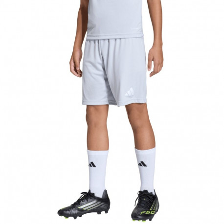 Adidas laste lühikesed püksid Entrada 26 JZ6533 140cm, helehall