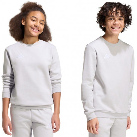 Adidas laste pusa Entrada 26 Sweat Top JZ6551 152cm, hall