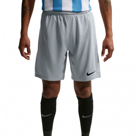 Nike meeste lühikesed püksid Dry Park III NB K BV6855 012 XL, helehall