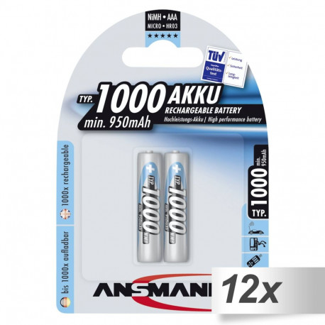 12x2 Ansmann NiMH patarei 1000 Micro AAA 950 mAh