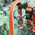 Dog collar Hunter Basic Thread Orange Size M (33-50 cm)