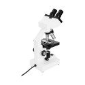Celestron Labs CB1000CF Microscope