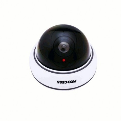 CEE dummy camera DC2300