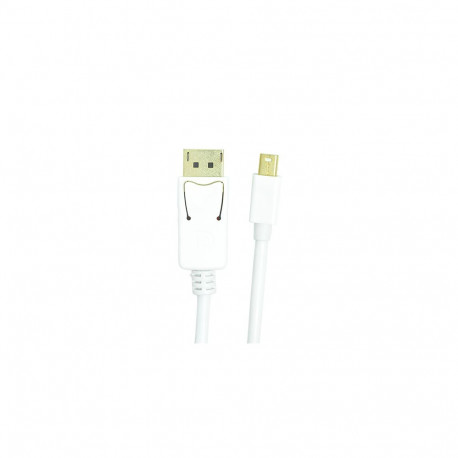 Cable mini DisplayPort - DisplayPort, 1m