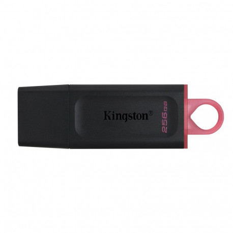 Kingston flash drive 256GB USB 3.2 (DTX/256GB)