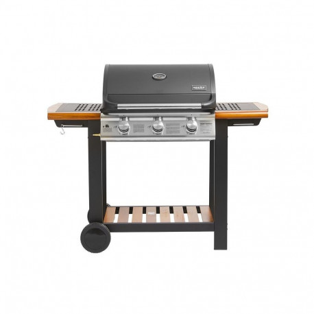 GAASIGRILL HECHT FIREWOOD 3