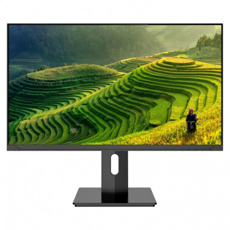JapanNext monitor 4K UHD 60,45cm (23,8")