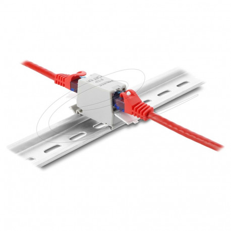 Delock RJ45 jätk Cat.6A pesa-pesa tolmukaitsega varjestatud DIN-liistule kinnitatav, hall / valge