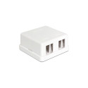 "Delock Keystone Leergehäuse 2 Port"