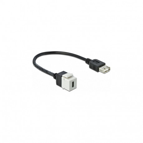 "Delock Keystone Modul USB 2.0 C Buchse > USB 2.0 A Buchse mit Kabel"