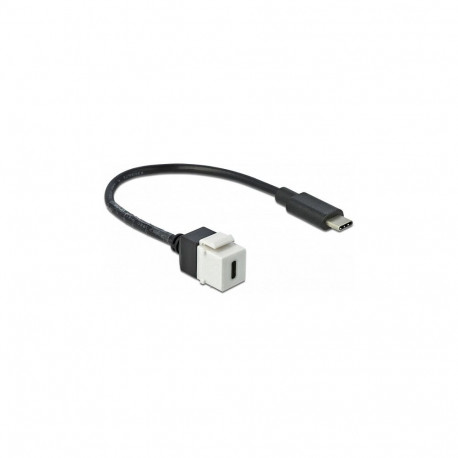 "Delock Keystone Modul USB 5 Gbps Type-C™ Buchse zu USB Type-C™ Stecker mit Kabel 25 cm"