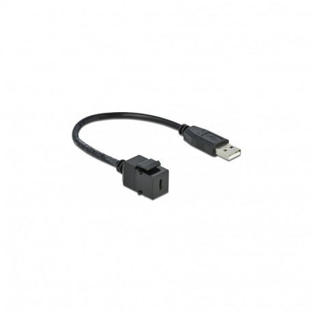 Delock Keystone-moodul USB 2.0 C-pesa > USB 2.0 A-pistik kaabliga